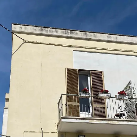 Milo Pensión Gallipoli